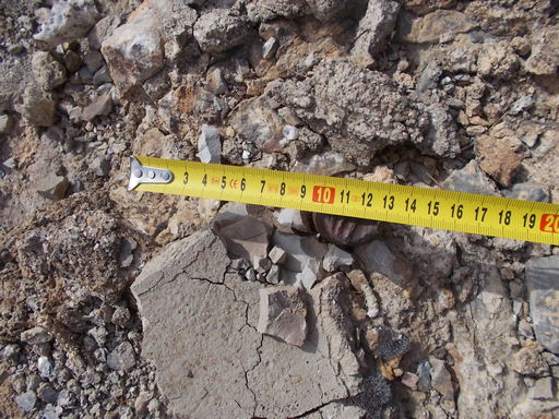 Sorry - image missing