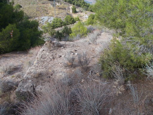 Sorry - image missing