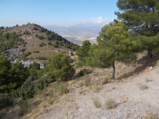 Sorry - image missing