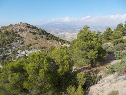 Sorry - image missing