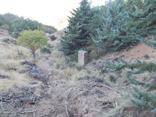 Sorry - image missing