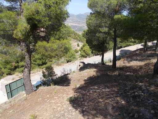 Sorry - image missing