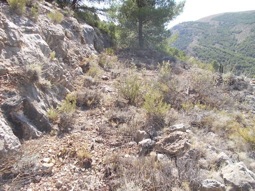 Sorry - image missing