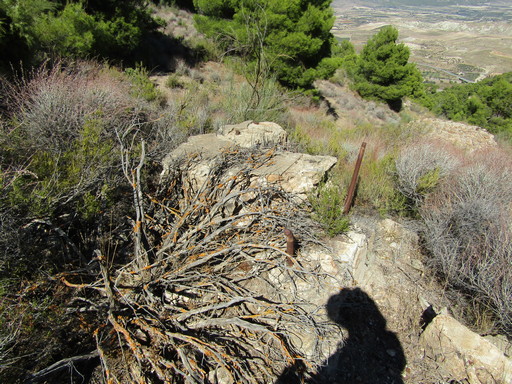 Sorry - image missing