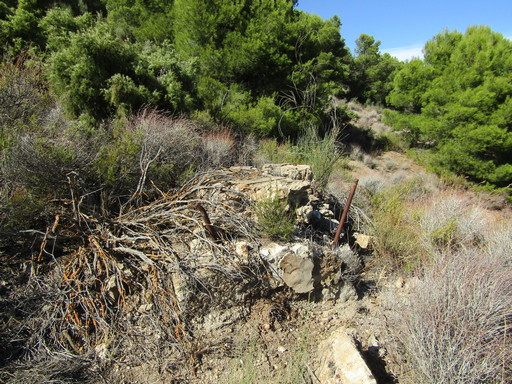 Sorry - image missing