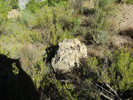 Sorry - image missing