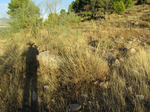 Sorry - image missing