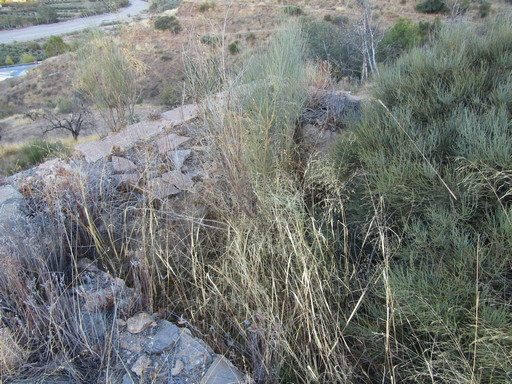 Sorry - image missing