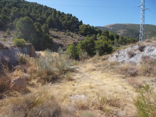 Sorry - image missing