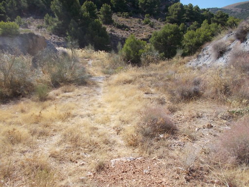 Sorry - image missing