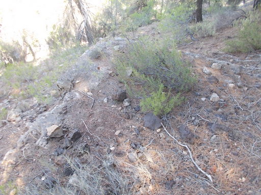 Sorry - image missing