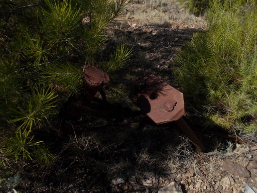 Sorry - image missing