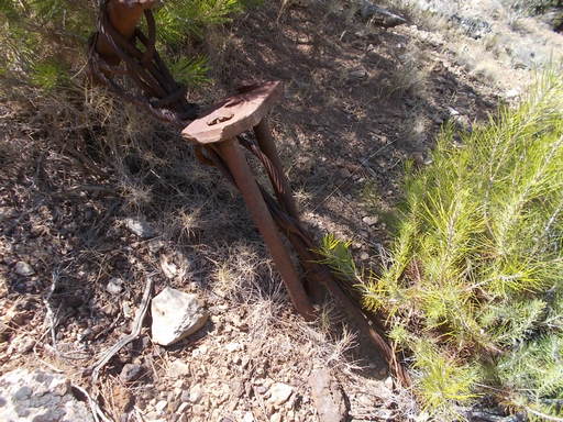 Sorry - image missing