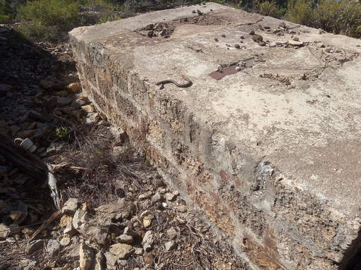 Sorry, image missing