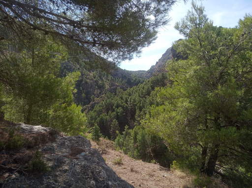 Sorry, image missing