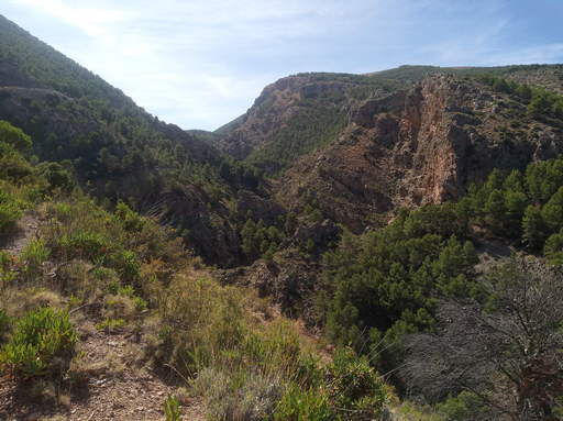 Sorry - image missing