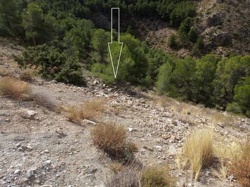 Sorry - image missing