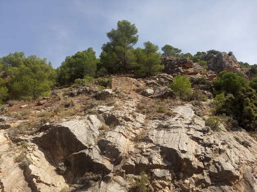 Sorry - image missing