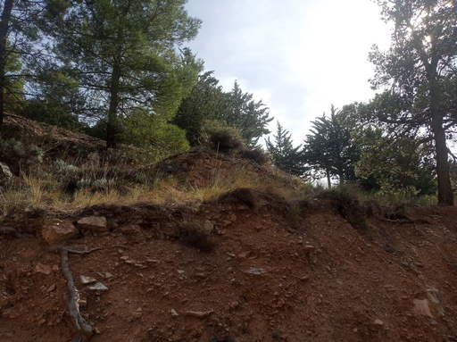 Sorry - image missing