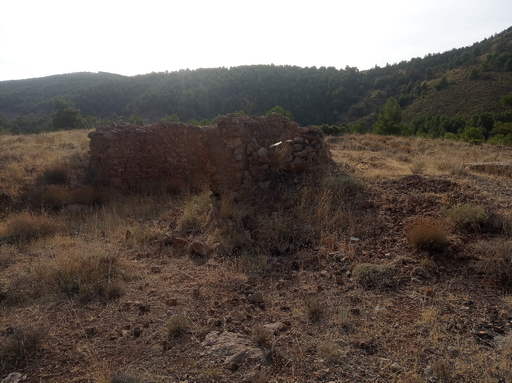 Sorry - image missing