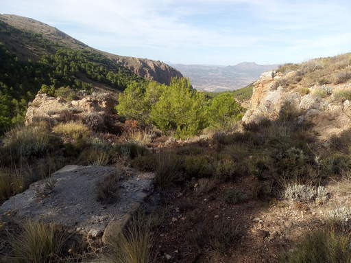 Sorry - image missing