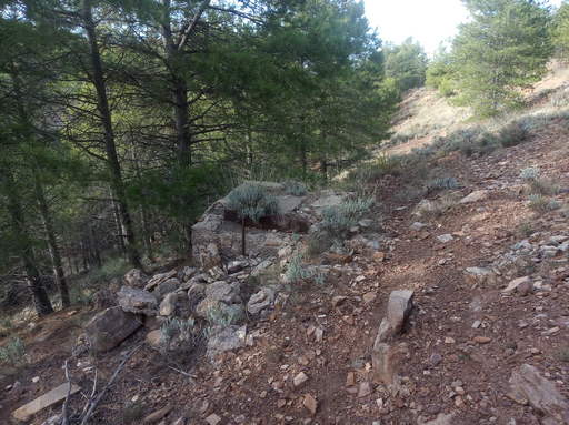 Sorry - image missing