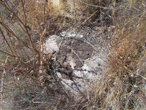 Sorry - image missing