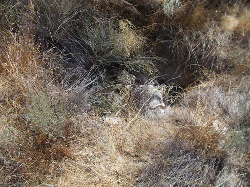 Sorry - image missing