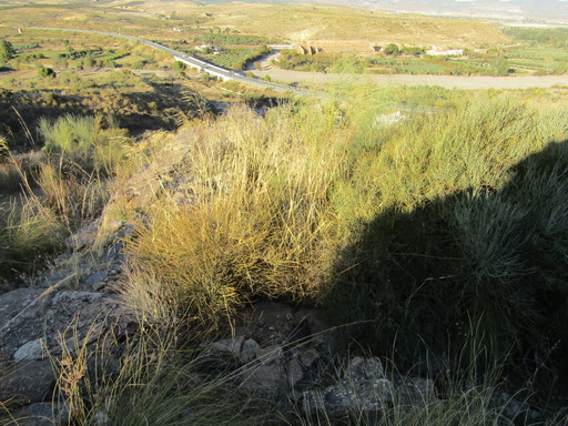 Sorry - image missing