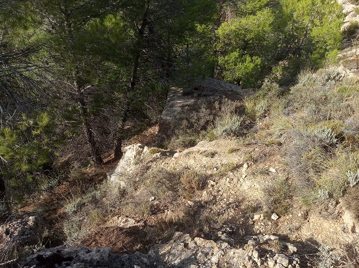 Sorry - image missing