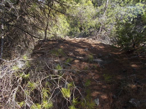 Sorry - image missing