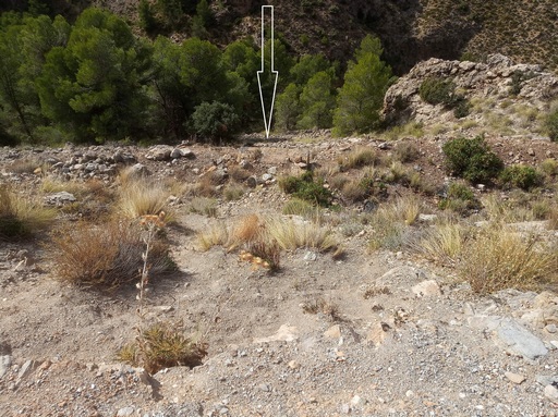 Sorry - image missing