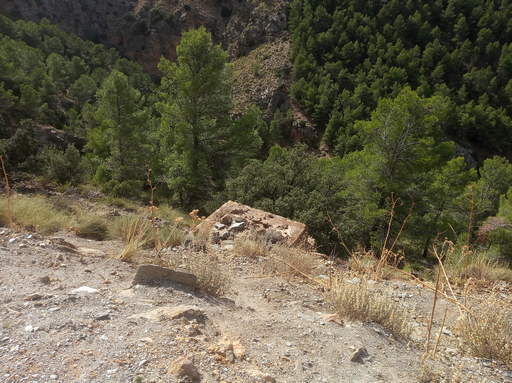 Sorry - image missing