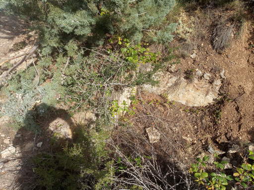 Sorry - image missing