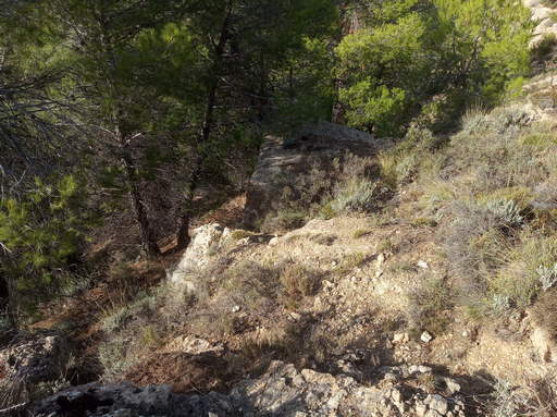 Sorry - image missing