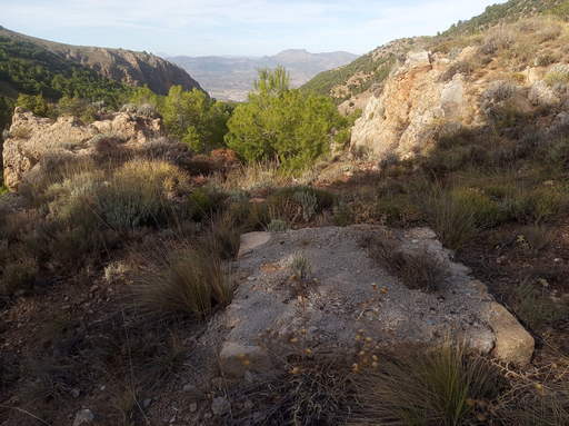 Sorry - image missing