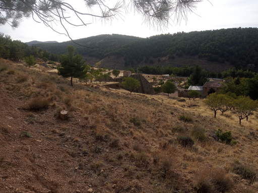 Sorry - image missing