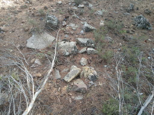 Sorry - image missing