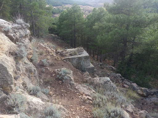 Sorry - image missing