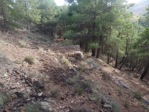 Sorry - image missing