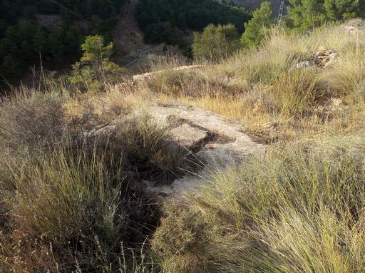 Sorry - image missing