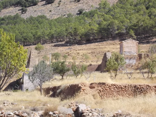 Sorry, image missing