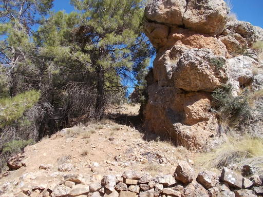 Sorry, image missing