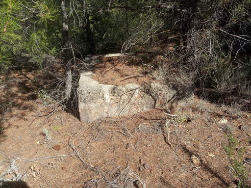 Sorry, image missing