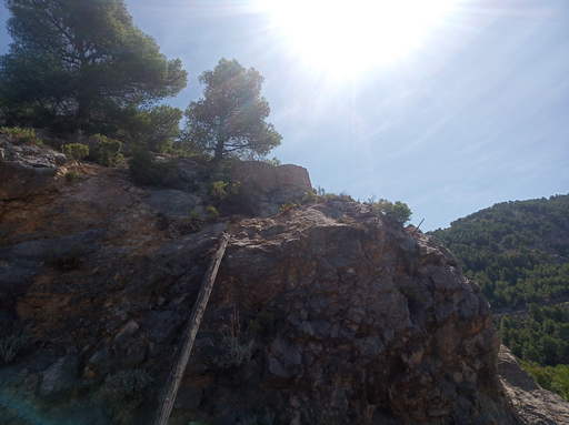 Sorry, image missing