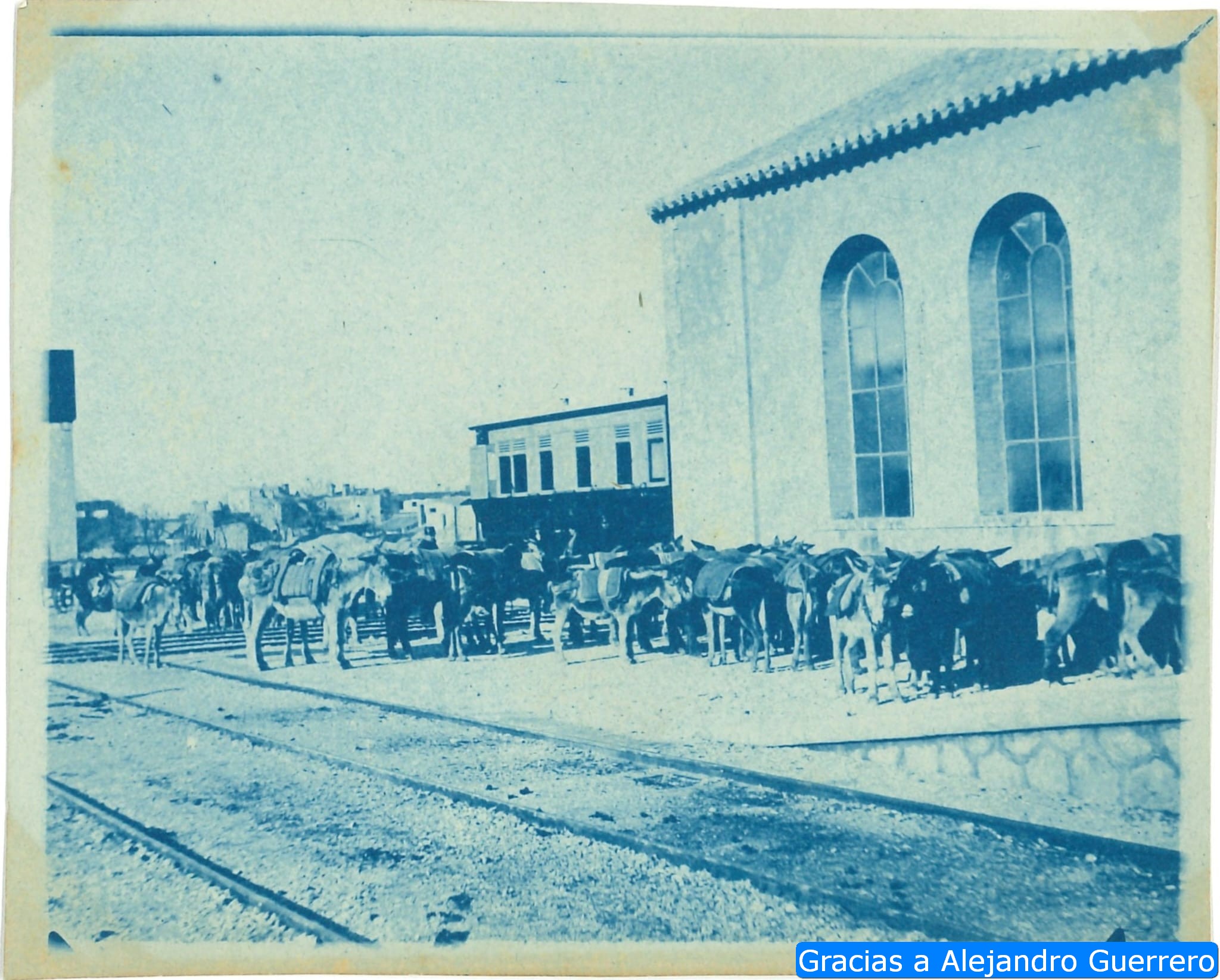 Sorry, image missing