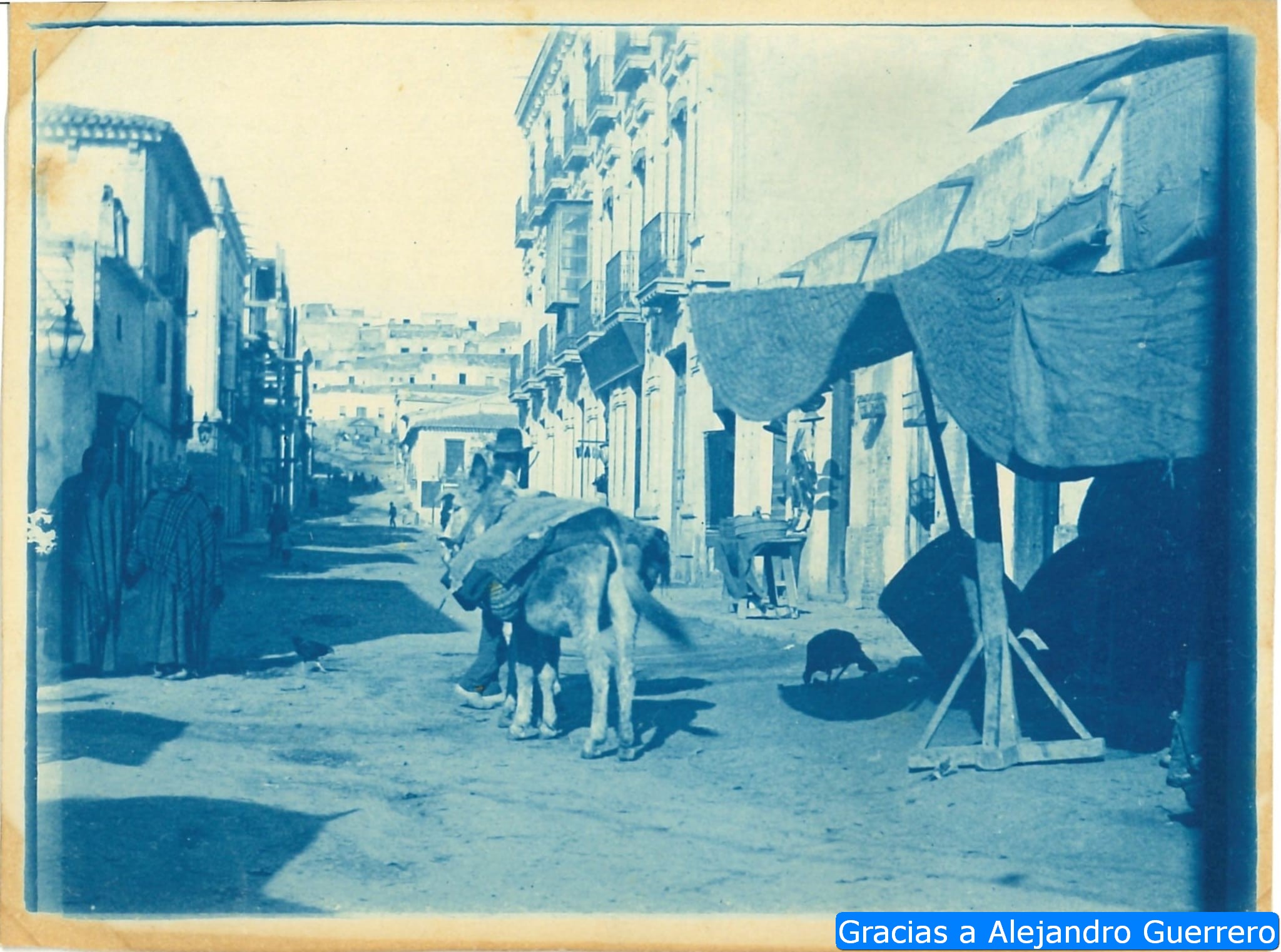 Sorry, image missing