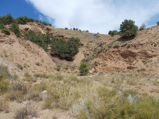 Sorry - image missing