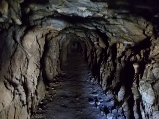 Sorry - image missing