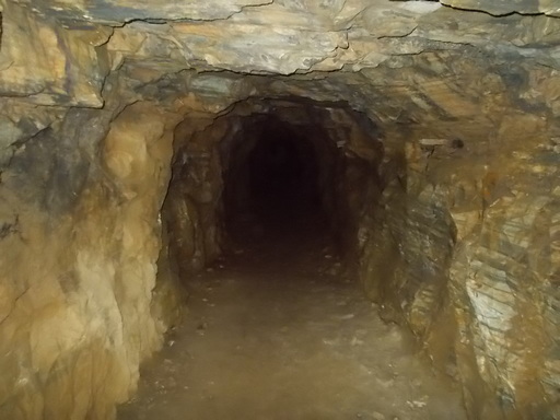 Sorry - image missing